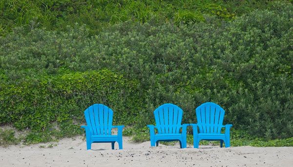 Wild, Jamie and Judy 아티스트의 Oregon-chairs on Cannon Beach작품입니다.